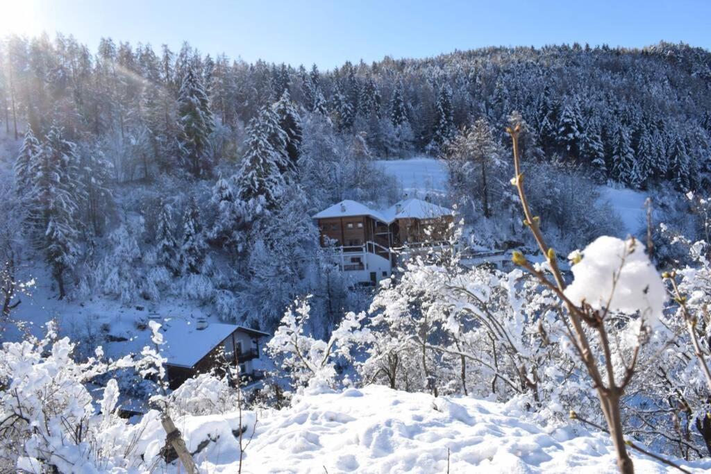 App Schlossblick - Wohnung Hammerwand 2 Umes Exteriör bild