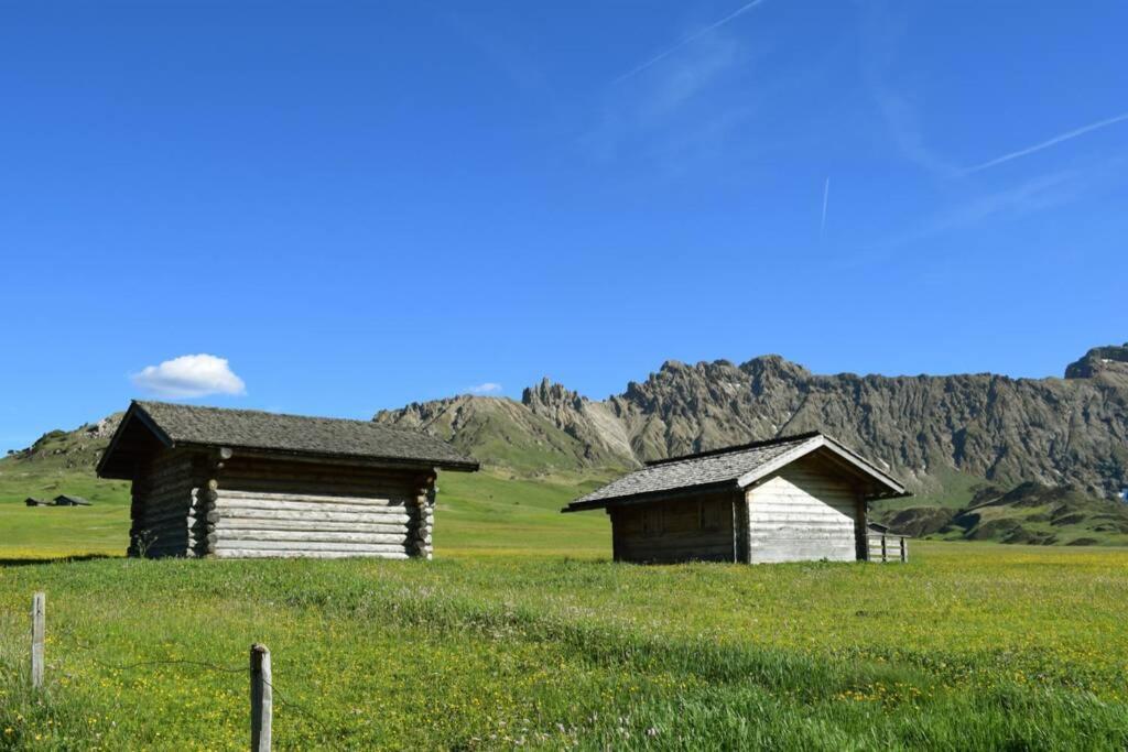 App Schlossblick - Wohnung Hammerwand 2 Umes Exteriör bild