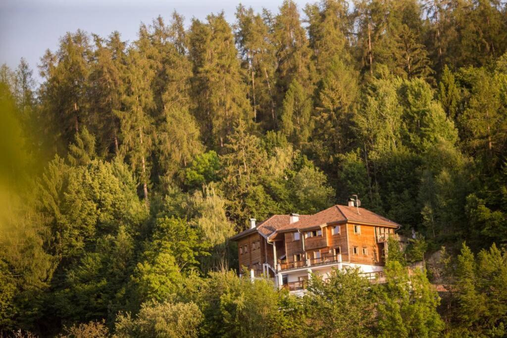 App Schlossblick - Wohnung Hammerwand 2 Umes Exteriör bild