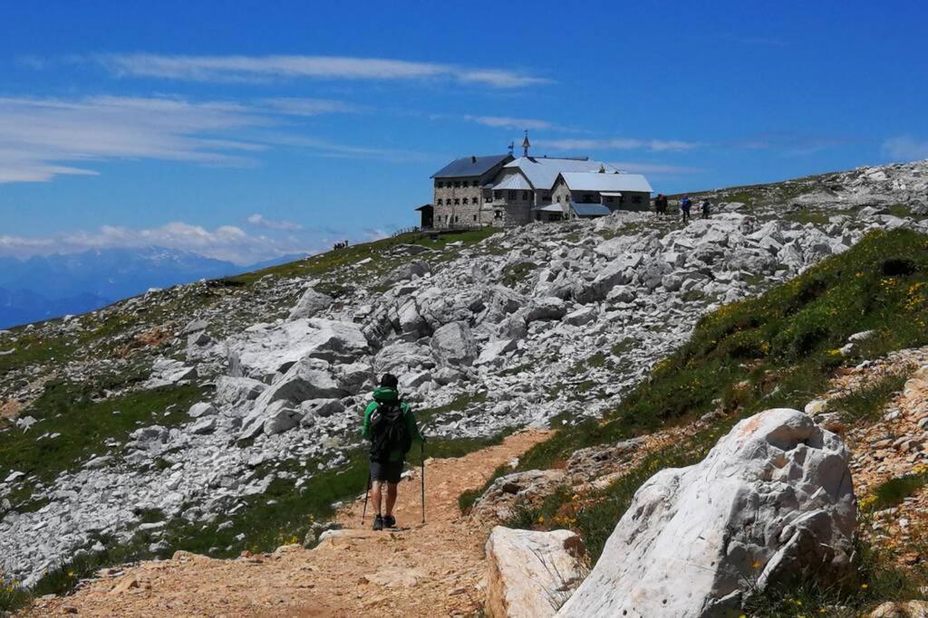 App Schlossblick - Wohnung Hammerwand 2 Umes Exteriör bild